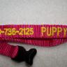 Puppy Collars- Plastic Buckle